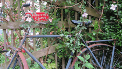 oude-fiets